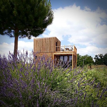 Châteauvieux Manege De La Chapiniere - Dadaloge Tiny-House 빌라 외부 사진