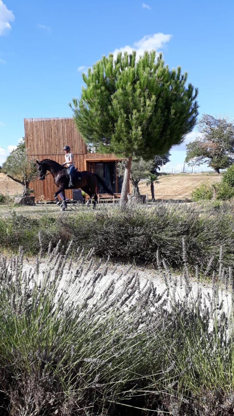 Châteauvieux Manege De La Chapiniere - Dadaloge Tiny-House 빌라 외부 사진