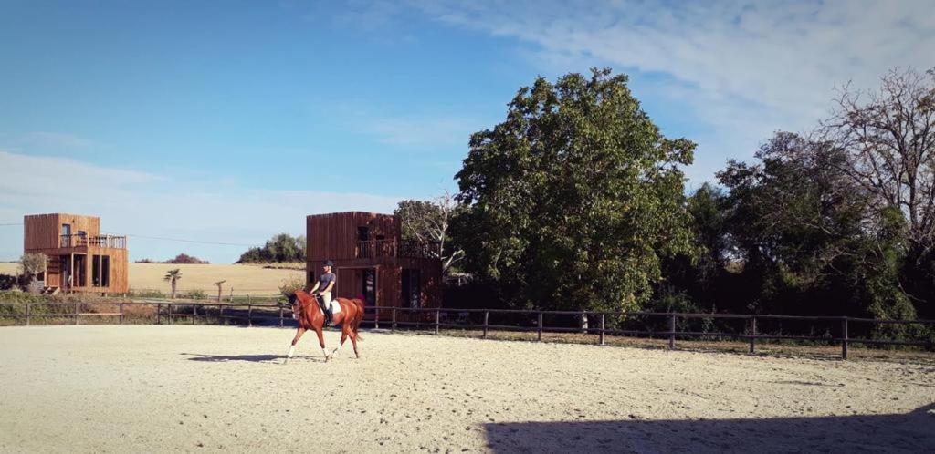 Châteauvieux Manege De La Chapiniere - Dadaloge Tiny-House 빌라 외부 사진